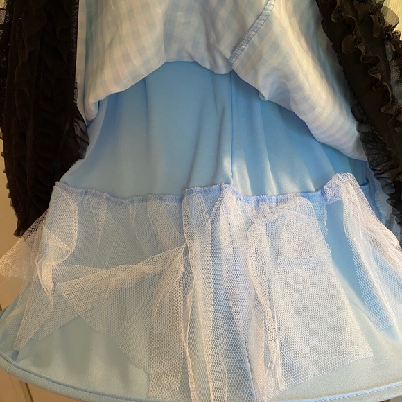 Wicked Dorothy Costume NWT (Fits Most) - Picture 5 of 7